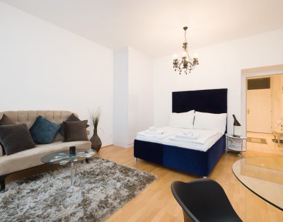 Homey Vienna Studio with Vintage Vibes & Modern Comforts