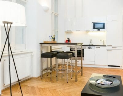 Luxury Apartment in Vienna’s City Center