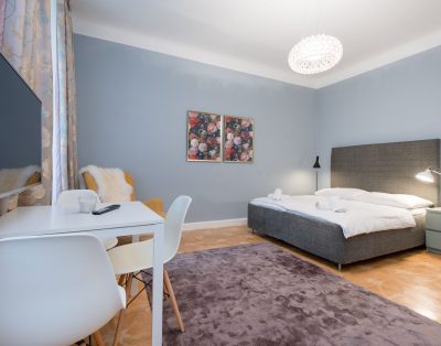 Charming & Cozy Studio in Vienna’s 9th District